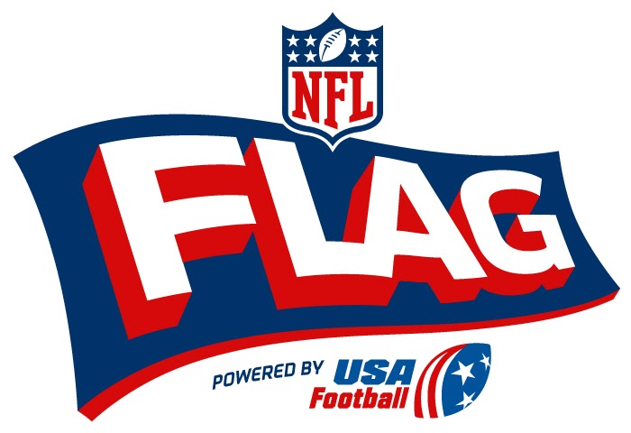 nfl flag logo